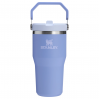Stanley IceFlow™ Flip Straw Tumbler Pipetli Termos | 0.6L | Hydrangea