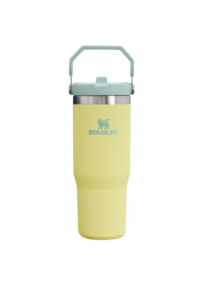 Stanley IceFlow™ Flip Straw Tumbler Pipetli Termos | 0.89L | Pomelo